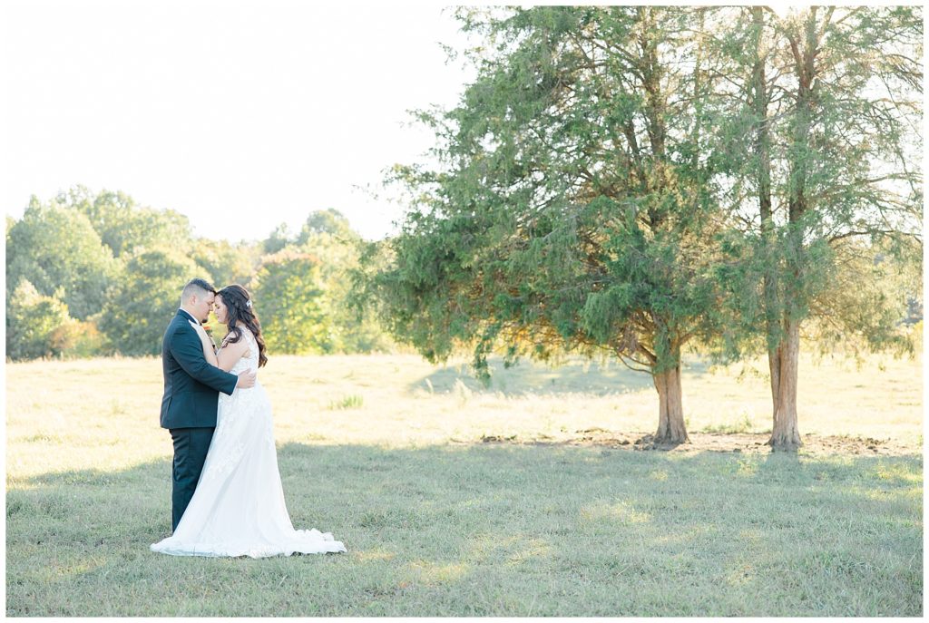 bride and groom in field with tree