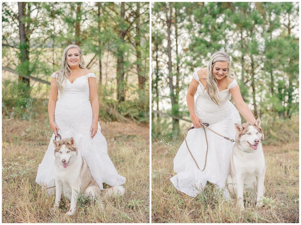 bride and husky dog 